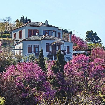 Apartament Stolios Skopelos Zewnętrze zdjęcie
